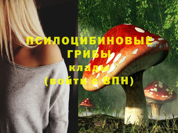кокс Киренск