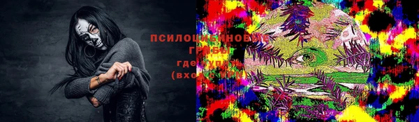 PSILOCYBIN Карпинск