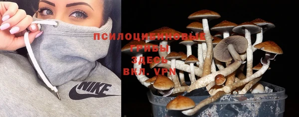 круглые Касимов